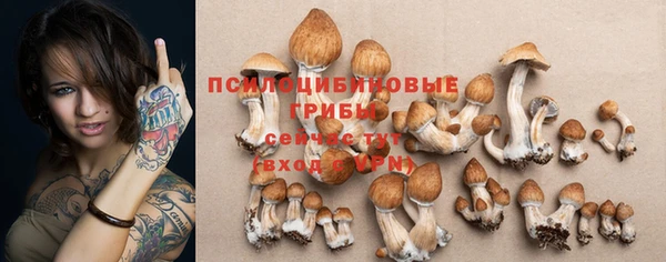 Альфа ПВП Балабаново